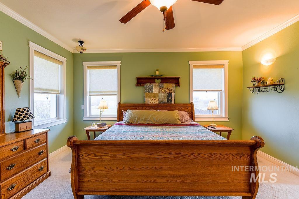 18072 Central Grd Genesee, ID 83832 - Photo 25 of 50 Bedroom with light carpet, ornamental molding, and ceiling fan