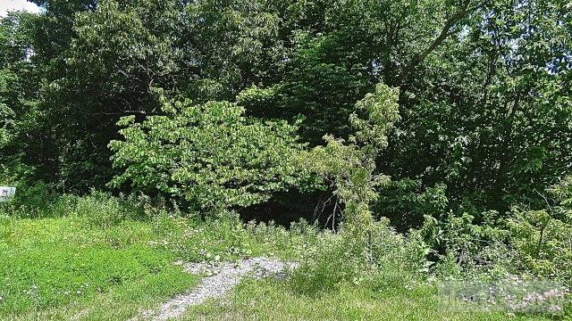 Dusty Road Boone, NC 28607 - Photo 2 of 8 Gallery Image 2