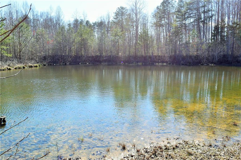 700 Lemons Road Stokesdale, NC 27357 - Photo 25 of 27 Pond