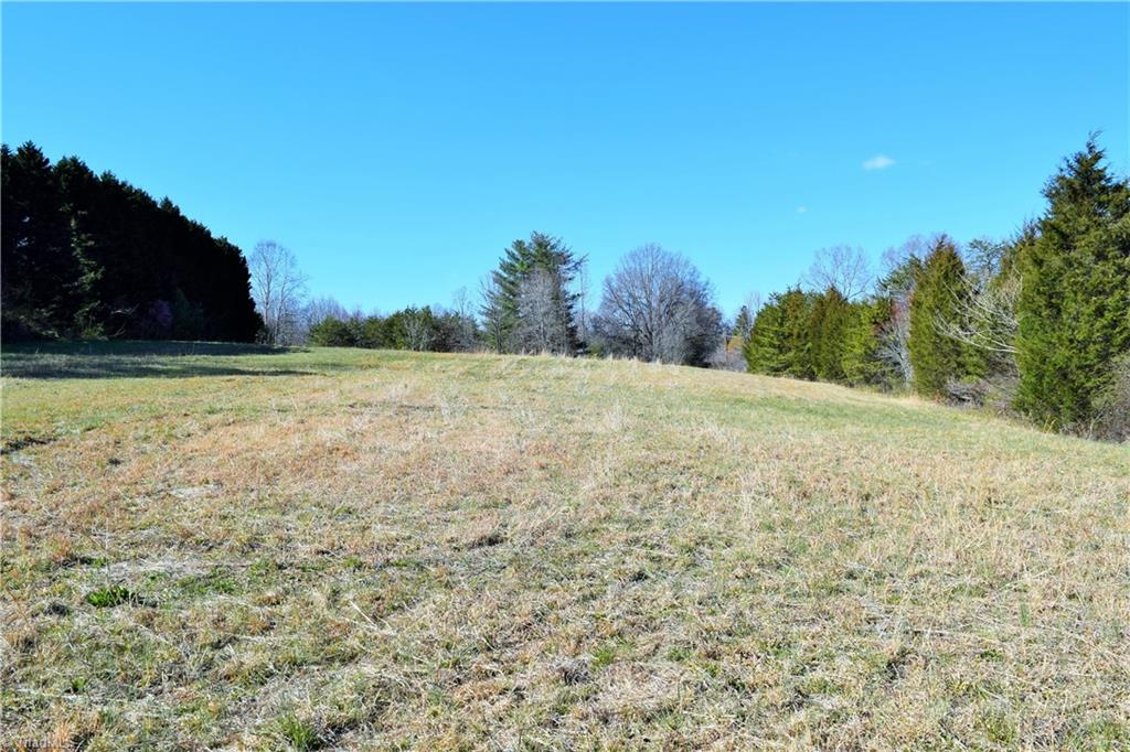 700 Lemons Road Stokesdale, NC 27357 - Photo 26 of 27 Field at front of lot