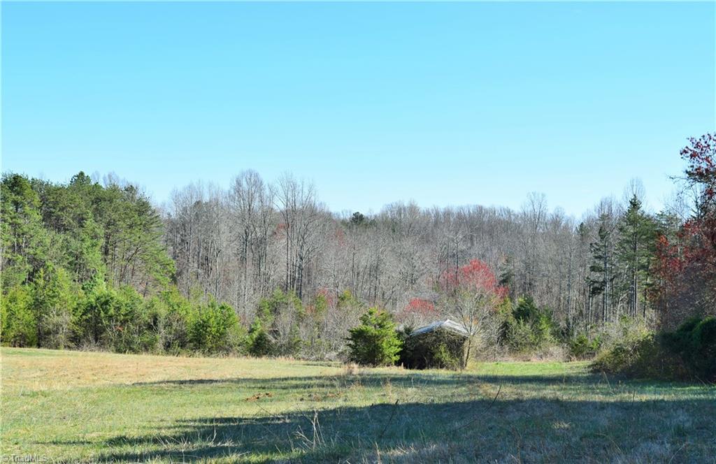 700 Lemons Road Stokesdale, NC 27357 - Photo 27 of 27 Gallery Image 27
