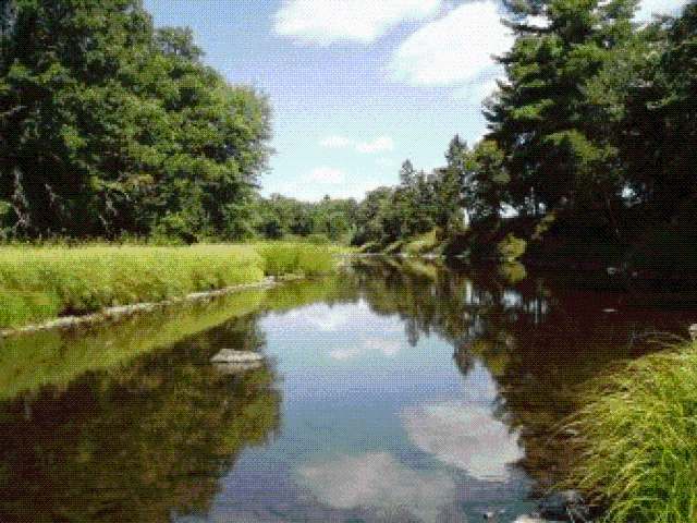 N11686 River Road Kennan, WI 54537 - Photo 2 of 20 Gallery Image 2