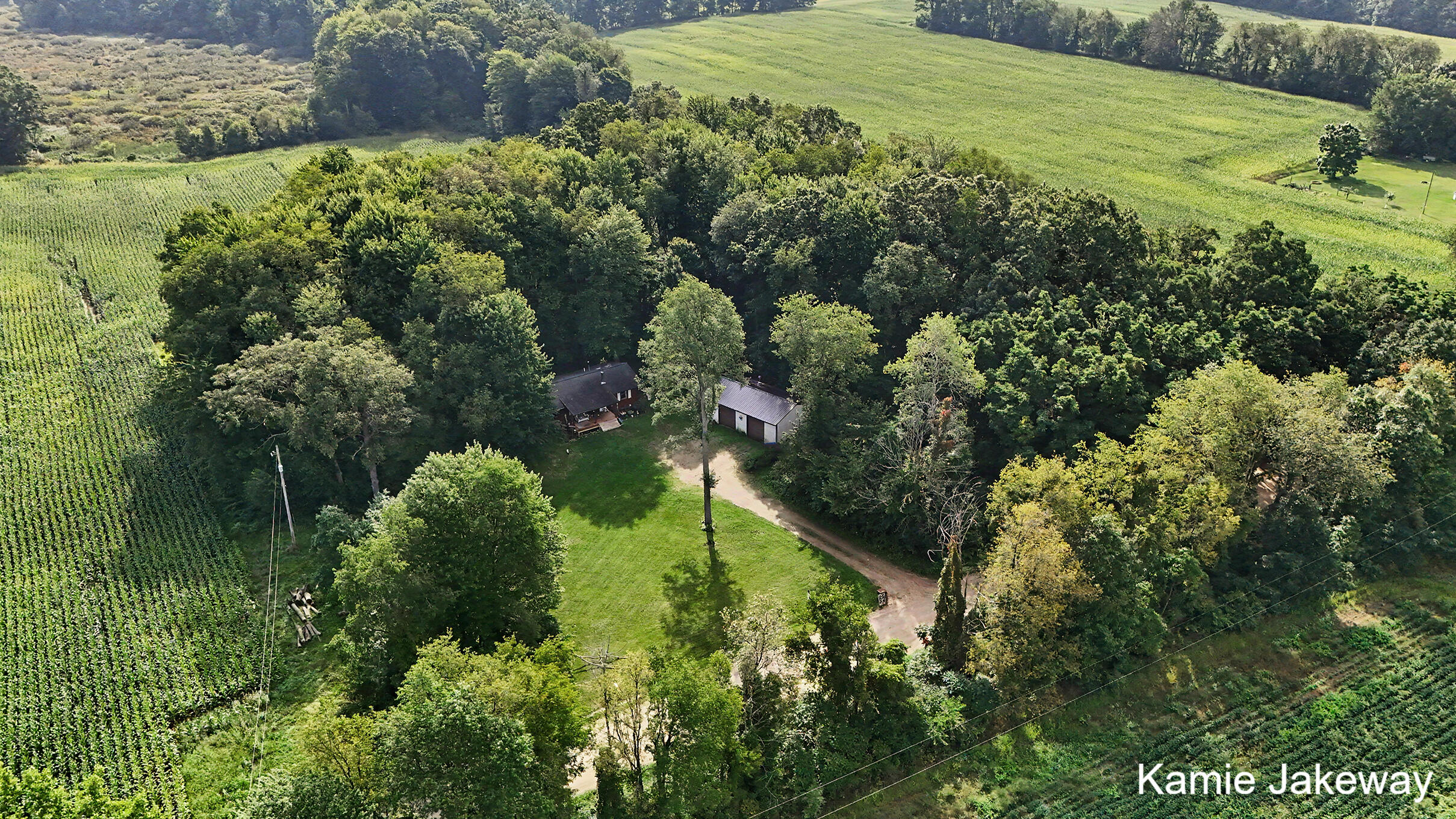 10481 Brown Road Fenwick, MI 48834 - Photo 5 of 24 DJI_20260901103655_0043_D