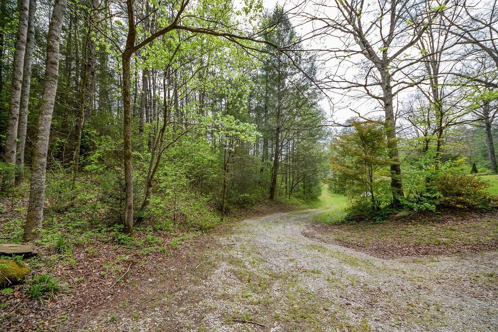 1813 Tellico Reliance Road Reliance, TN 37369 - Photo 25 of 36 Gallery Image 25