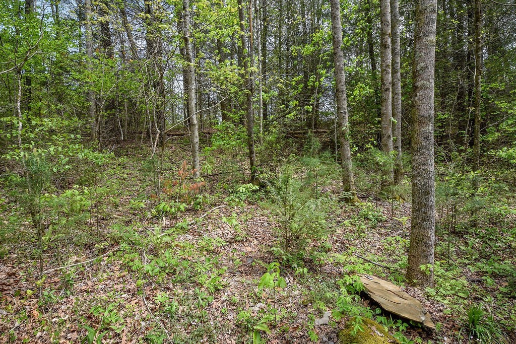 1813 Tellico Reliance Road Reliance, TN 37369 - Photo 27 of 36 Gallery Image 27