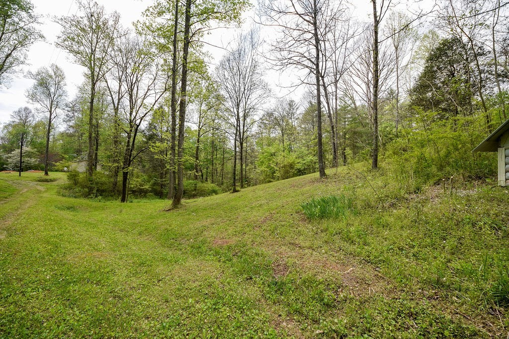 1813 Tellico Reliance Road Reliance, TN 37369 - Photo 31 of 36 Gallery Image 31