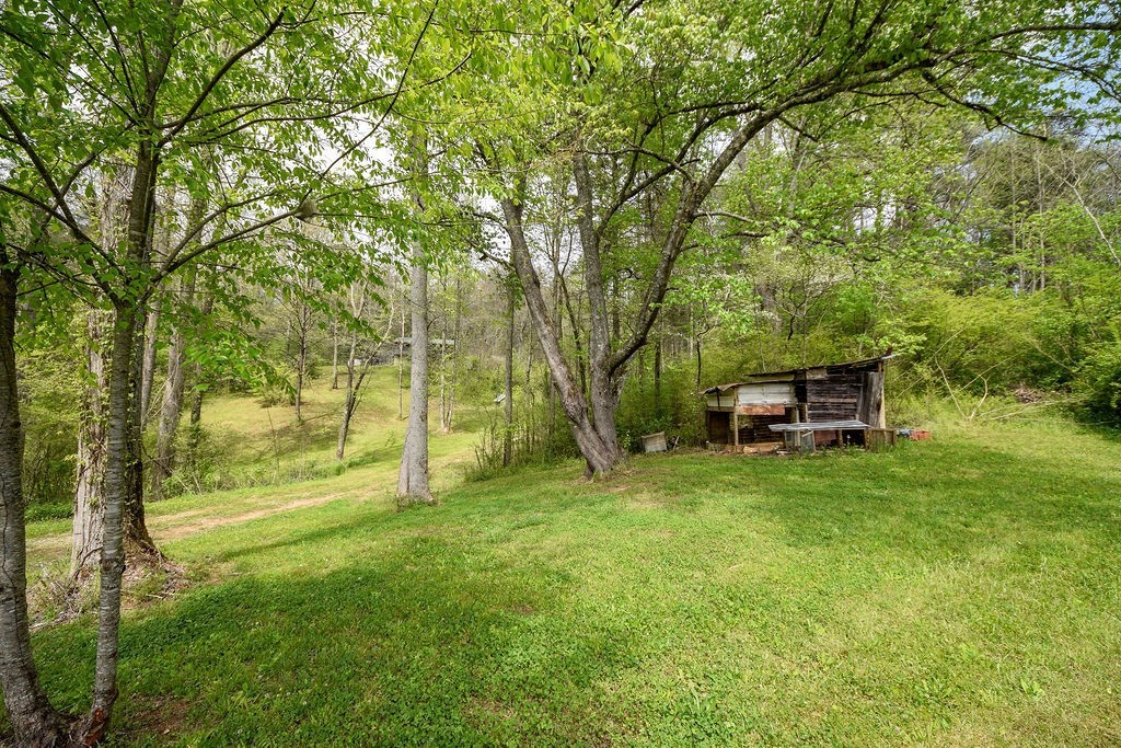1813 Tellico Reliance Road Reliance, TN 37369 - Photo 33 of 36 Gallery Image 33