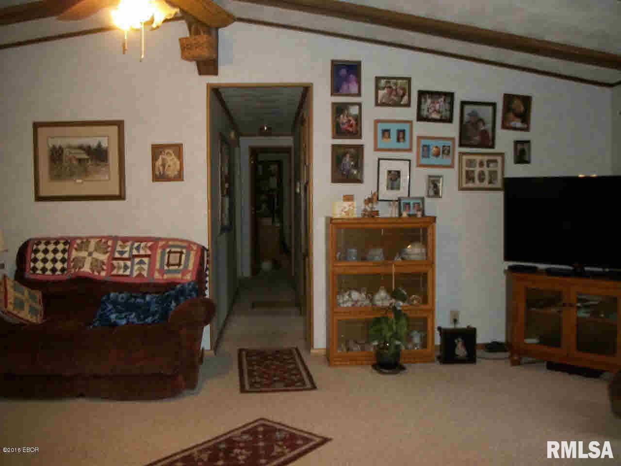 1630 Raintree Road Carrier Mills, IL 62917 - Photo 2 of 17 Gallery Image 2