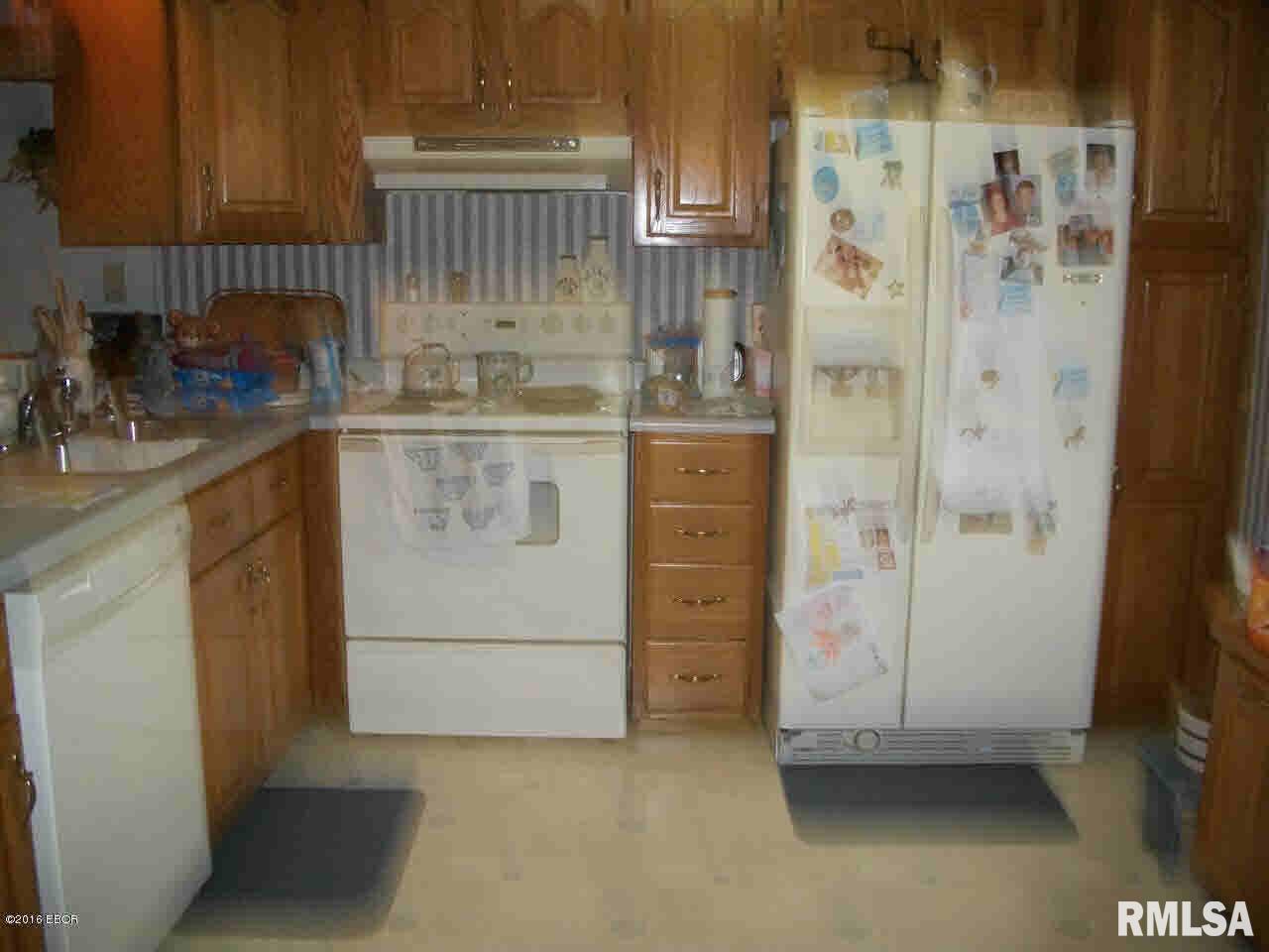 1630 Raintree Road Carrier Mills, IL 62917 - Photo 4 of 17 Gallery Image 4