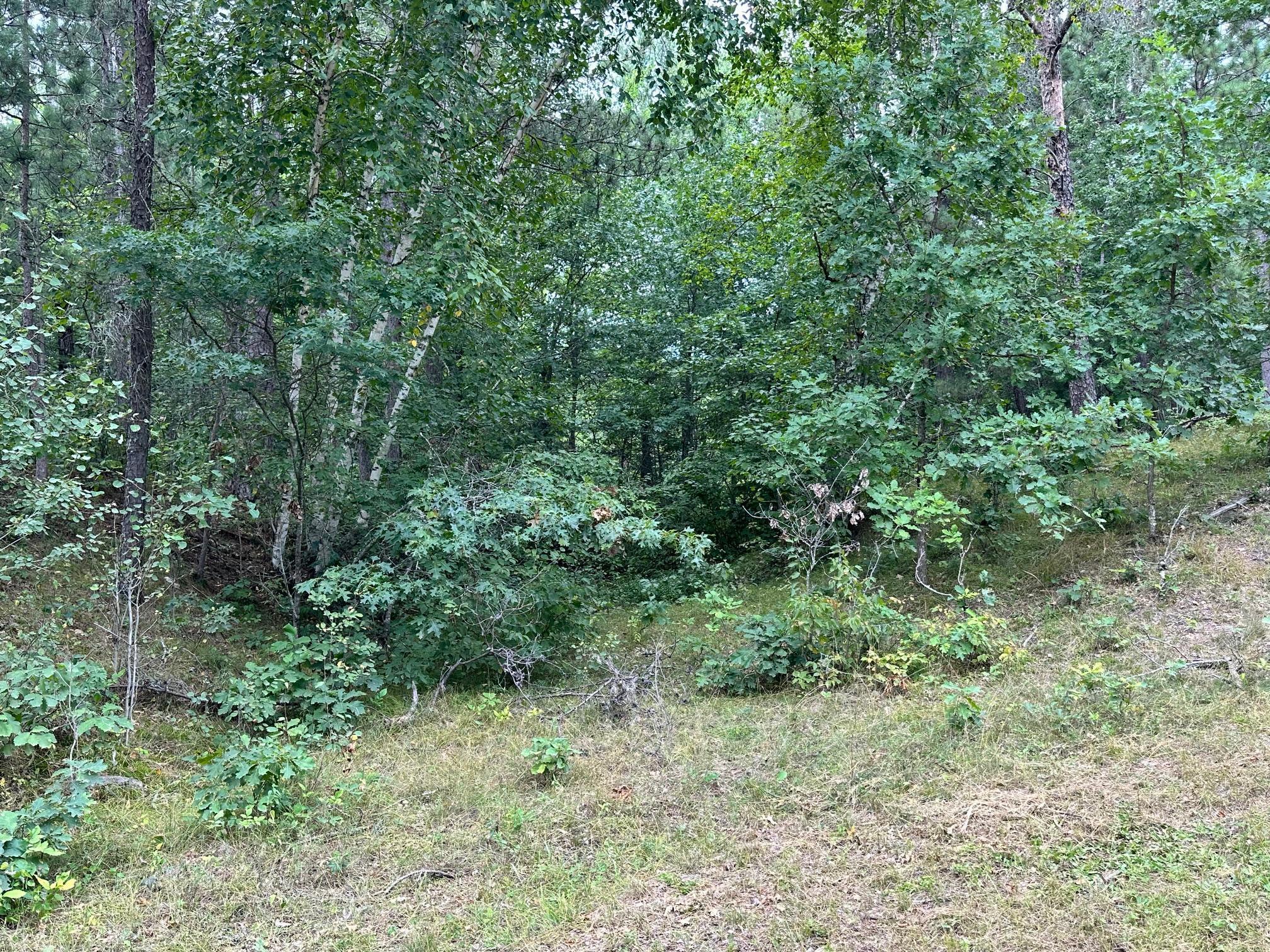 Five West 5 Point Lake Road Northwest Hackensack, MN 56452 - Photo 1 of 7
