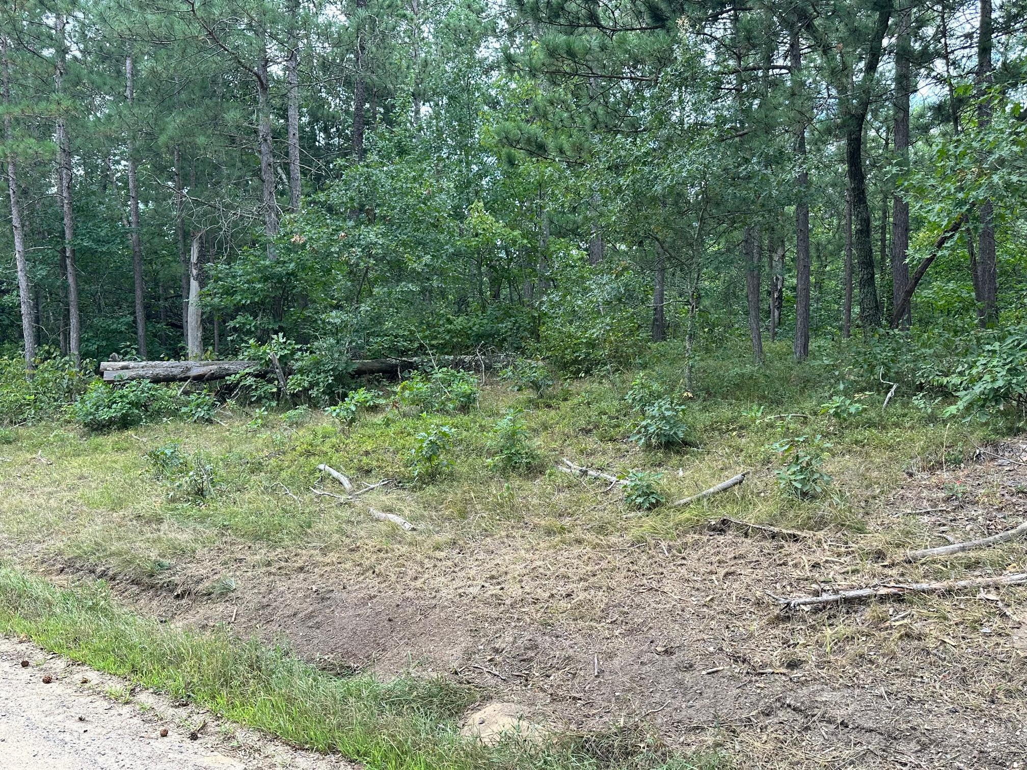 Five West 5 Point Lake Road Northwest Hackensack, MN 56452 - Photo 3 of 7