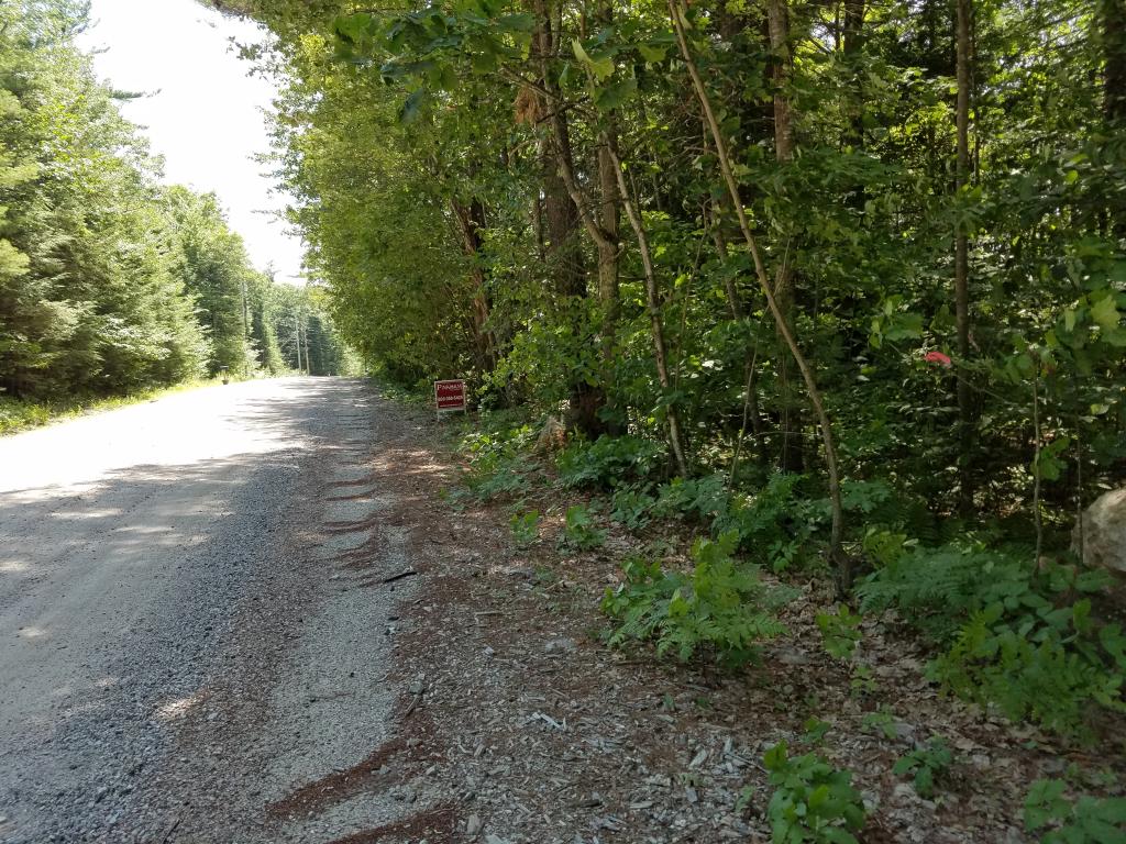 116 Modock Hill Road Conway, NH 03818 - Photo 2 of 5