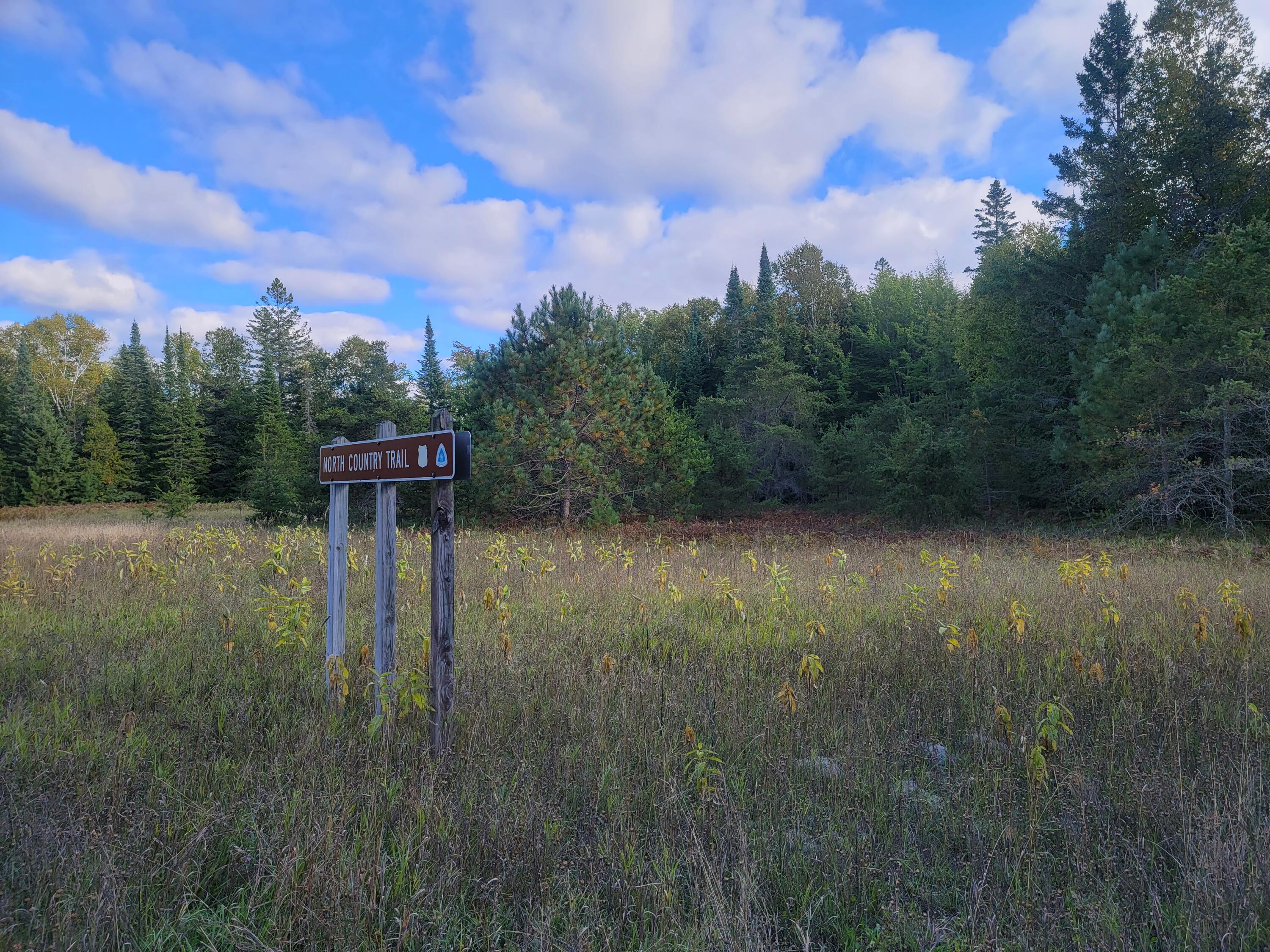 Lot 1 Brevort Camp Road Moran, MI 49760 - Photo 20 of 66 Gallery Image 20