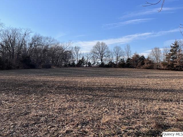 Sec 9 North 400th Avenue Liberty, IL 62347 - Photo 2 of 3 a view of dirt field with trees in background