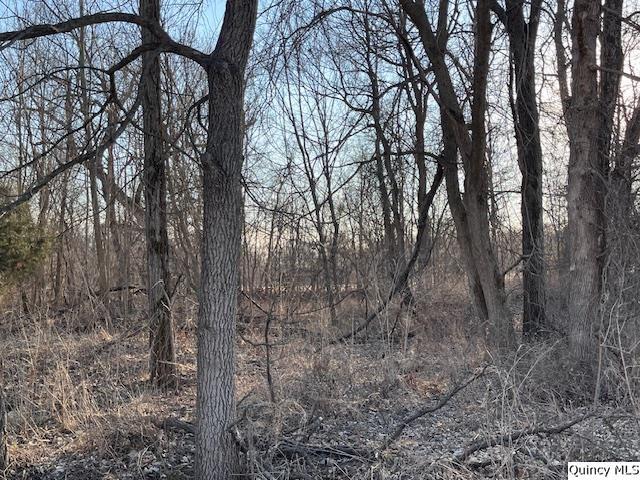 Sec 9 North 400th Avenue Liberty, IL 62347 - Photo 3 of 3 a view of a forest filled with trees