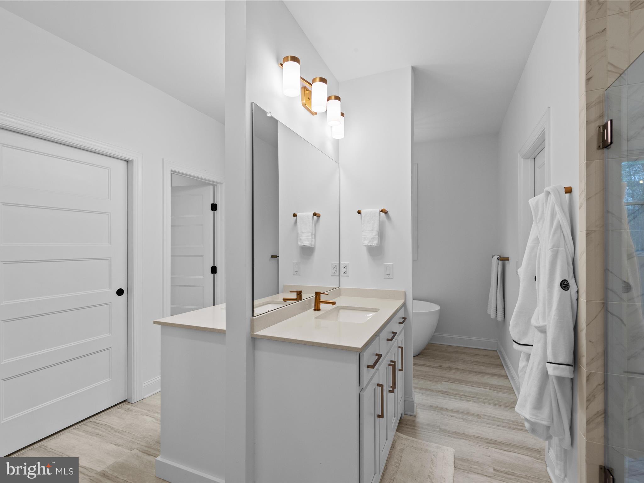 20005 Devine Way Milton, DE 19968 - Photo 26 of 82 a bathroom with a sink a mirror and a shower