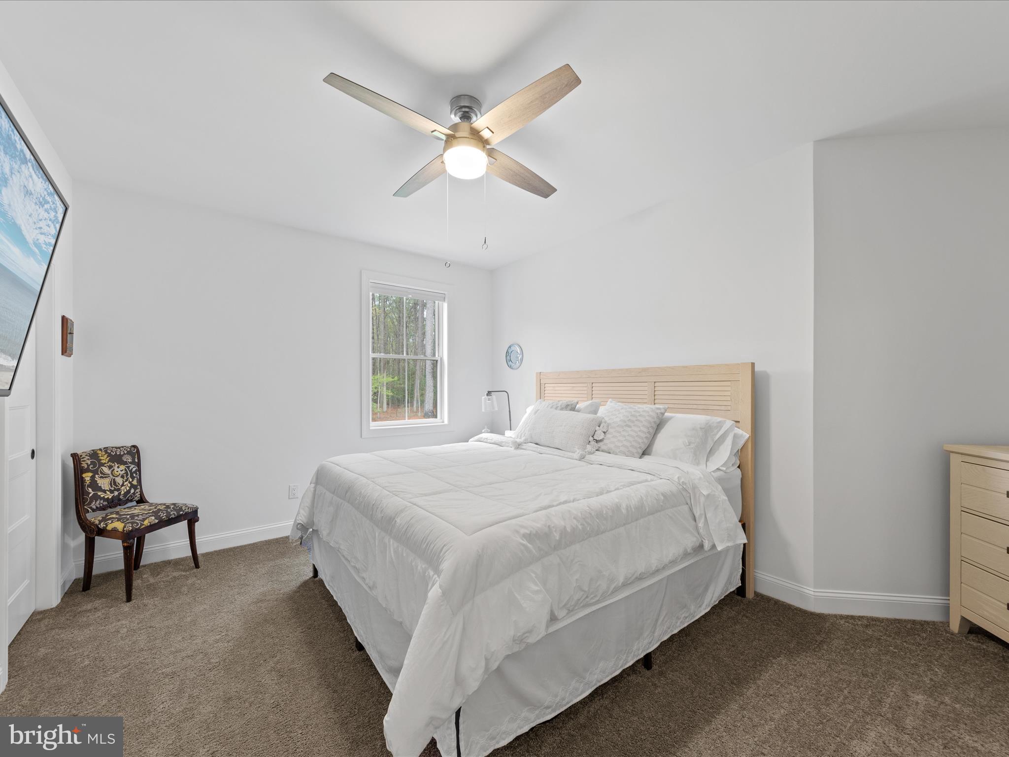 20005 Devine Way Milton, DE 19968 - Photo 35 of 82 a bedroom with a bed and a chandelier