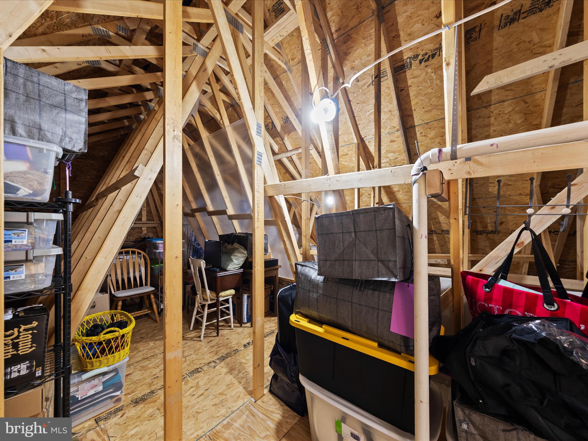 20005 Devine Way Milton, DE 19968 - Photo 50 of 82