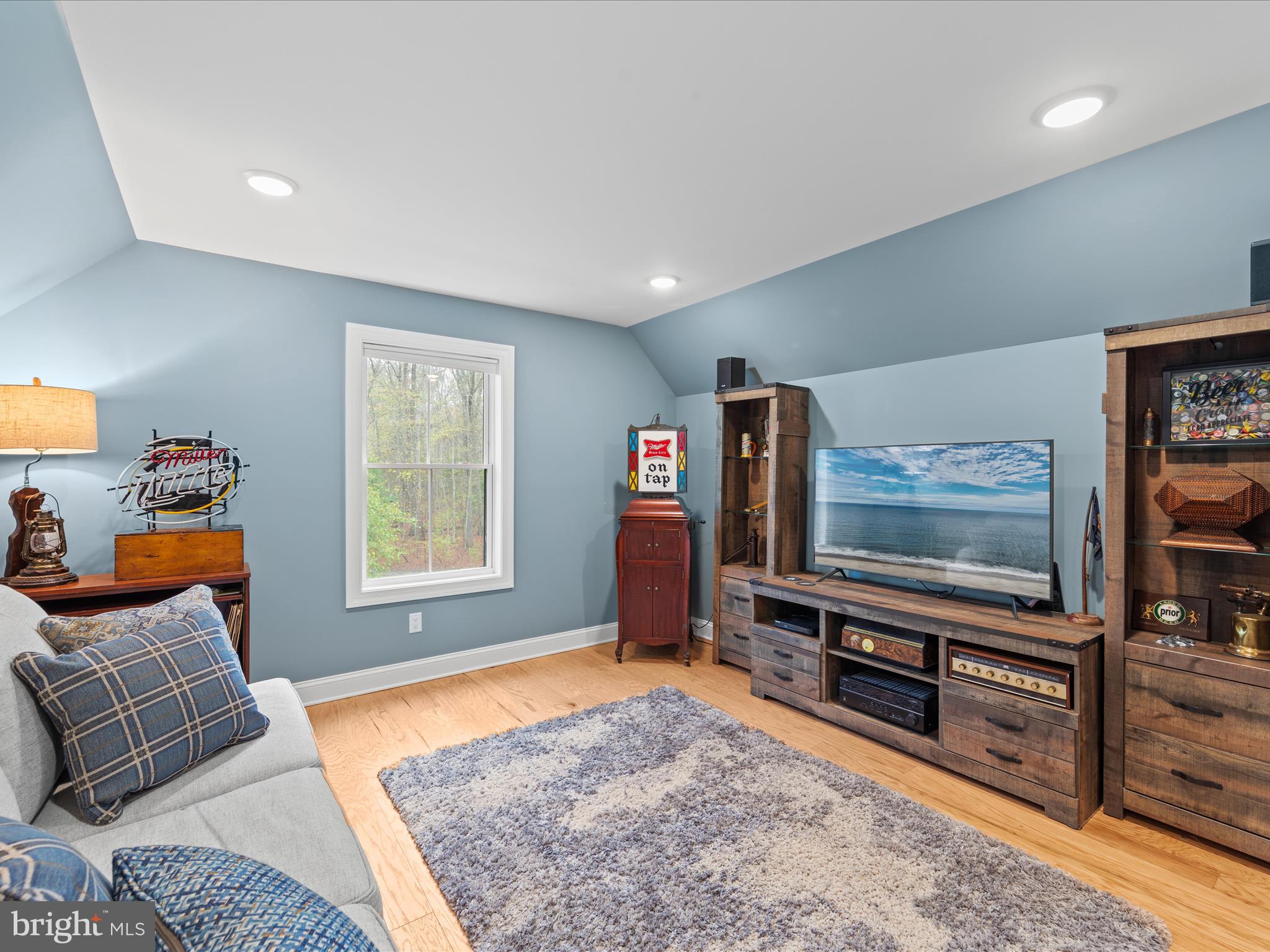 20005 Devine Way Milton, DE 19968 - Photo 60 of 82 a living room with furniture and a flat screen tv