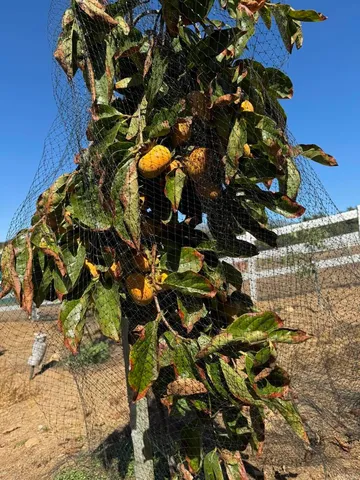 $1,199,000 | 30606 Falling Star Circle, Valley Center, CA 92082