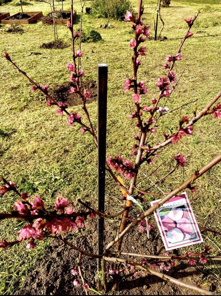 30606 Falling Star Circle Valley Center, CA 92082 - Photo 57 of 70