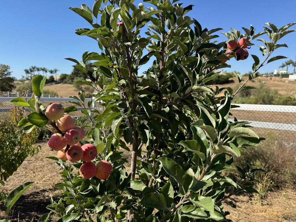 30606 Falling Star Circle Valley Center, CA 92082 - Photo 58 of 70