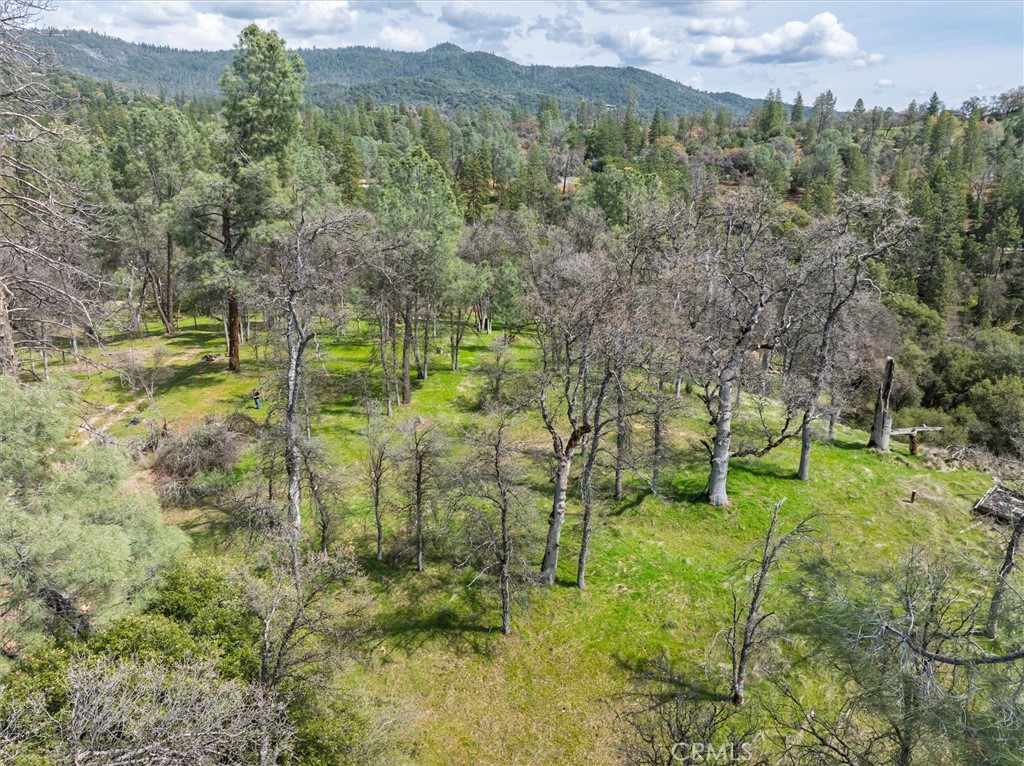 0 Springwood Court Oakhurst, CA 93644 - Photo 11 of 37