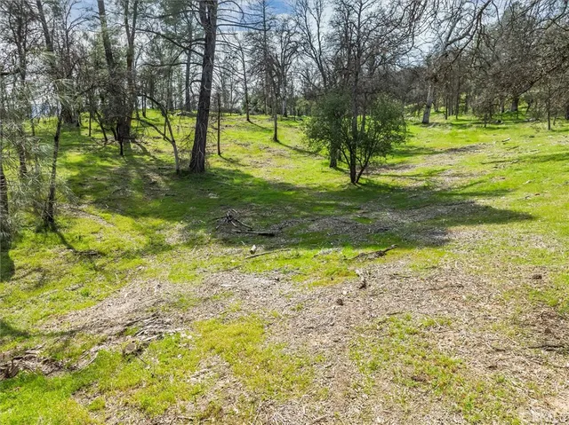 $607,000 | 0 Springwood Court, Oakhurst, CA 93644