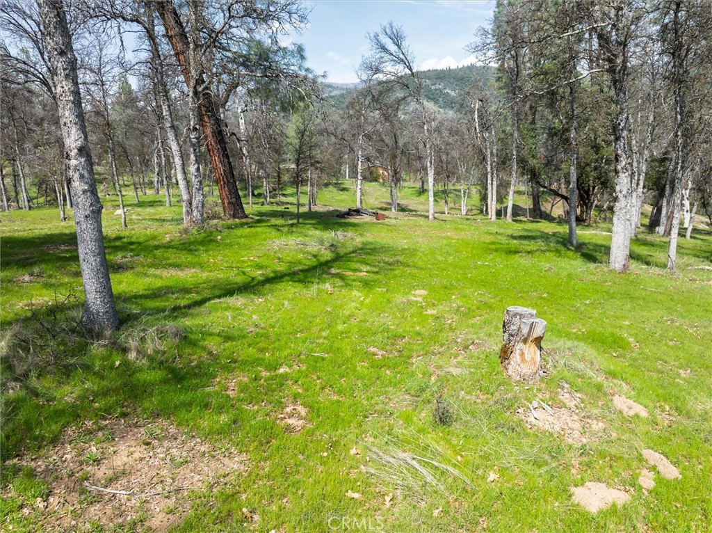 0 Springwood Court Oakhurst, CA 93644 - Photo 22 of 37