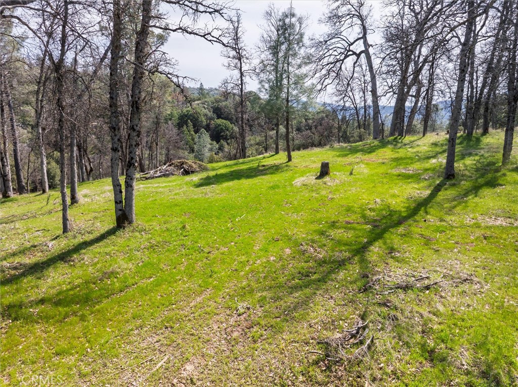 0 Springwood Court Oakhurst, CA 93644 - Photo 27 of 37