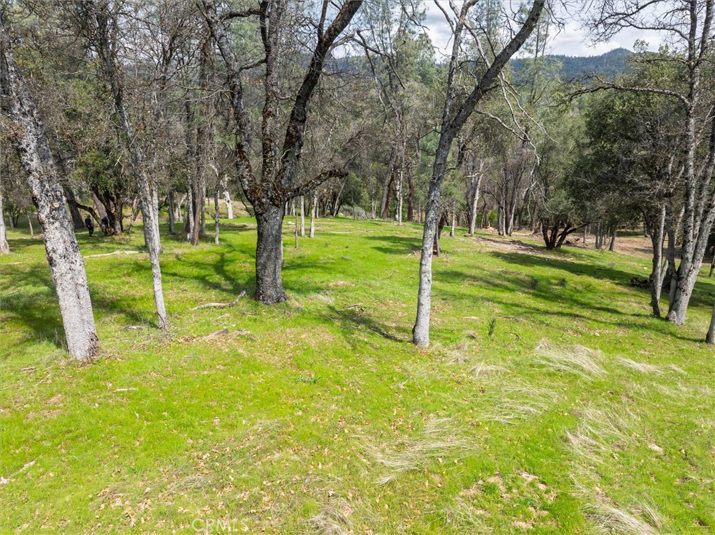 0 Springwood Court Oakhurst, CA 93644 - Photo 6 of 37