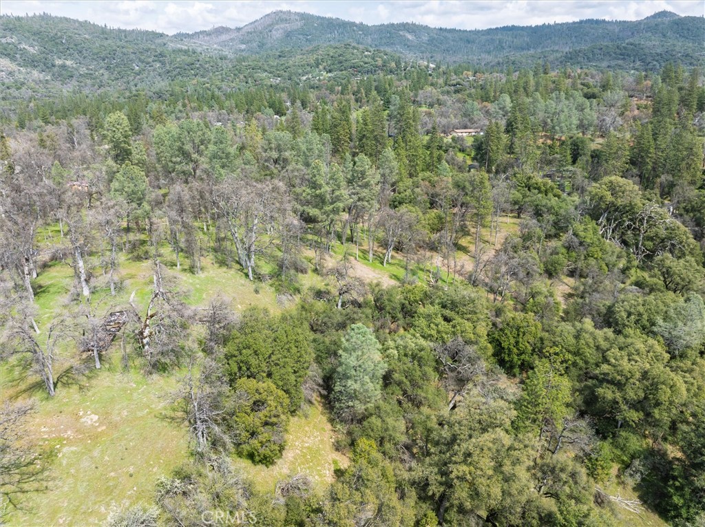 0 Springwood Court Oakhurst, CA 93644 - Photo 10 of 37