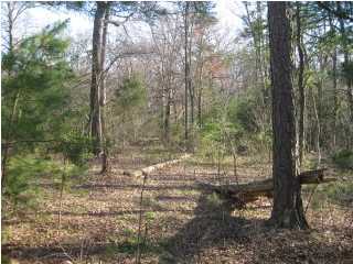 8313 Hixson Springs Road Signal Mountain, TN 37377 - Photo 3 of 8 Additional Photo