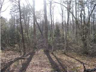 8313 Hixson Springs Road Signal Mountain, TN 37377 - Photo 4 of 8 Additional Photo