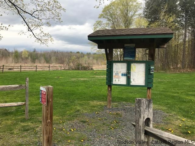 102 Valenti Road Gilboa, NY 12076 - Photo 30 of 32 a backyard of a house with lots of green space