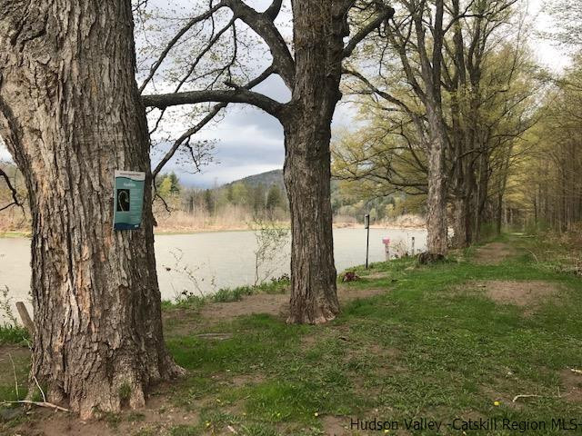 102 Valenti Road Gilboa, NY 12076 - Photo 31 of 32 a view of a tree in a yard