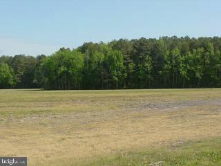 0 Murray Road Whaleyville, MD 21872 - Photo 1 of 3 Gallery Image 1