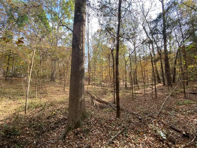 a view of a forest view