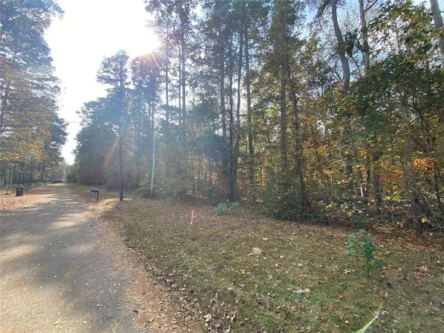 a view of a yard with trees