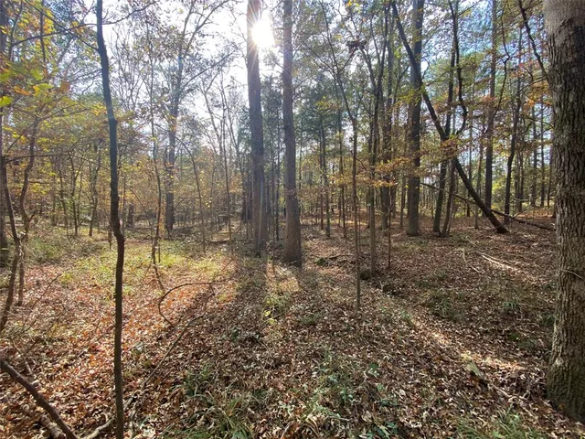 a view of a yard with large trees