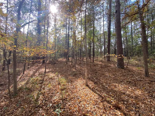 a view of outdoor space with lots of trees