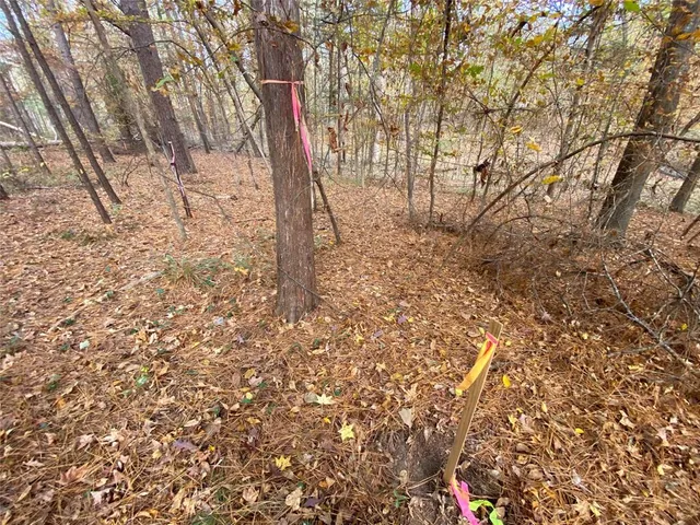 a view of a yard with trees
