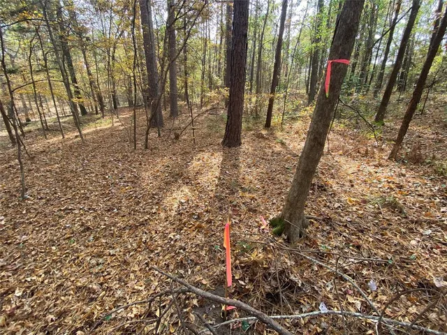a view of outdoor space with deck and tall trees