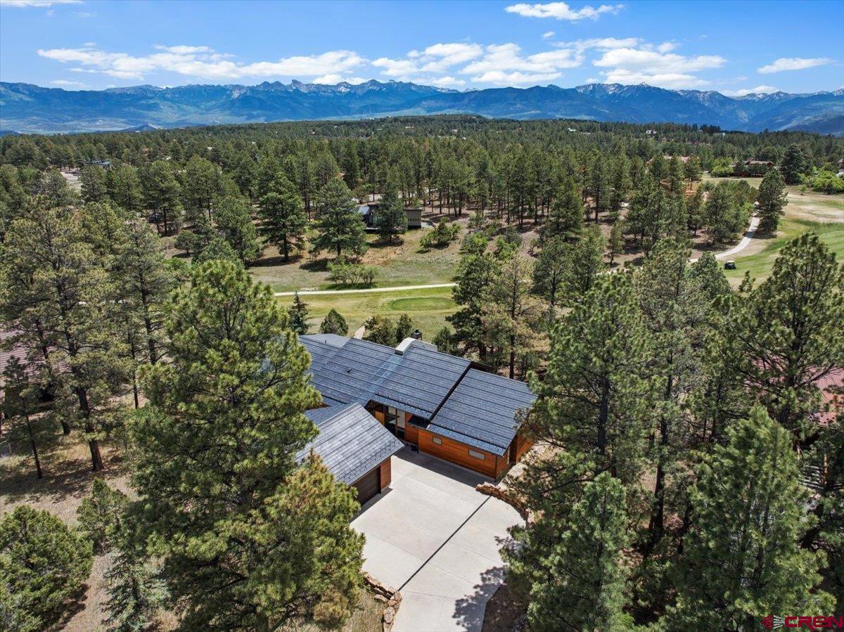412 South Badger Trail Ridgway, CO 81432 - Photo 41 of 45