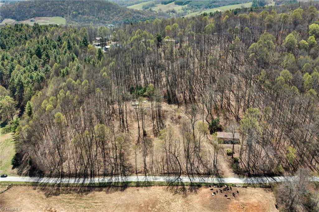 0 Walnut Branch Church Road Sparta, NC 28675 - Photo 3 of 15
