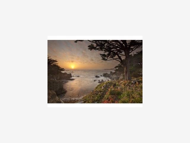29922 Spindrift Road Carmel, CA 93923 - Photo 9 of 9 Gallery Image 9
