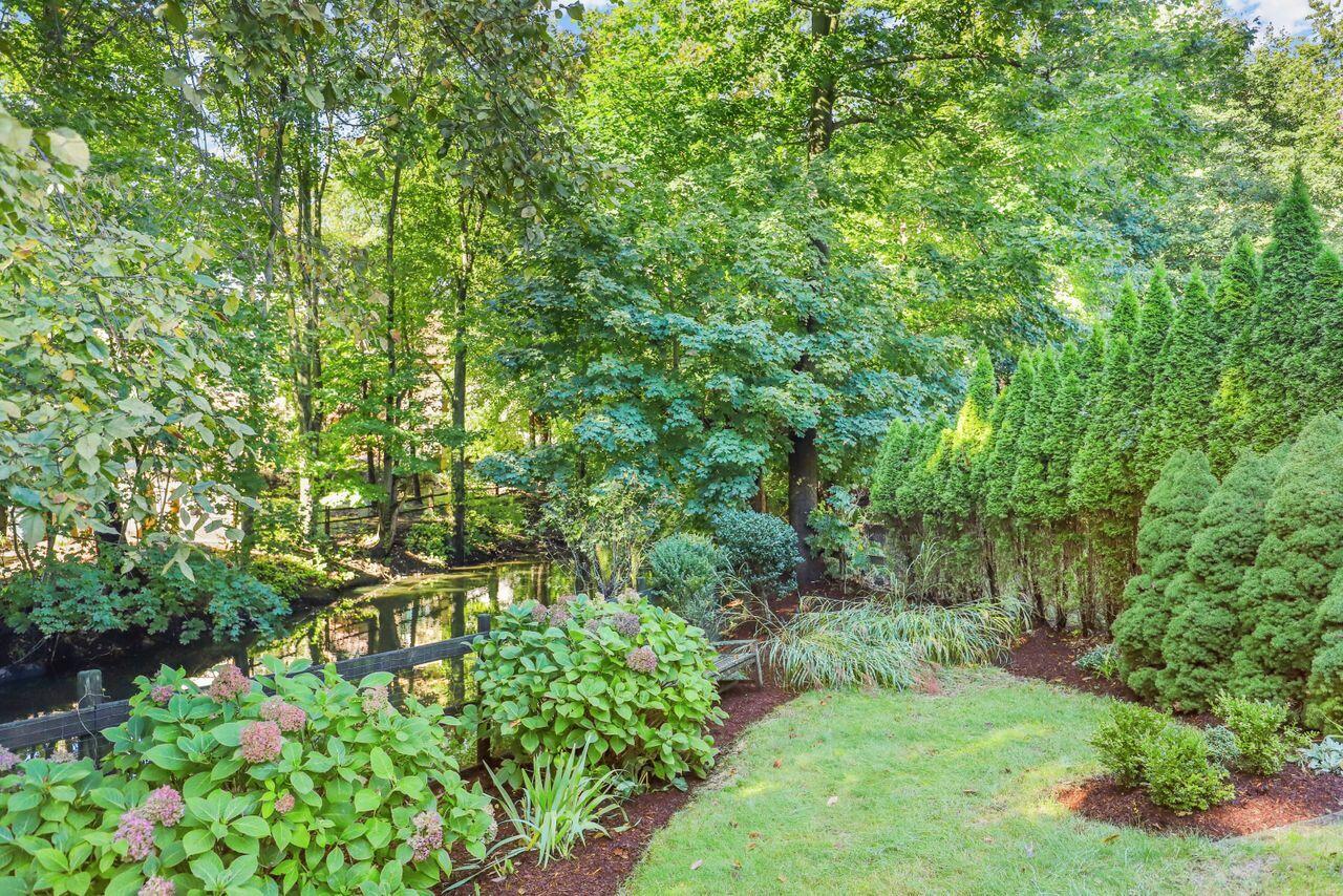 6 Park Lane Darien, CT 06820 - Photo 30 of 34 a view of a lush green forest with lawn chairs and plants