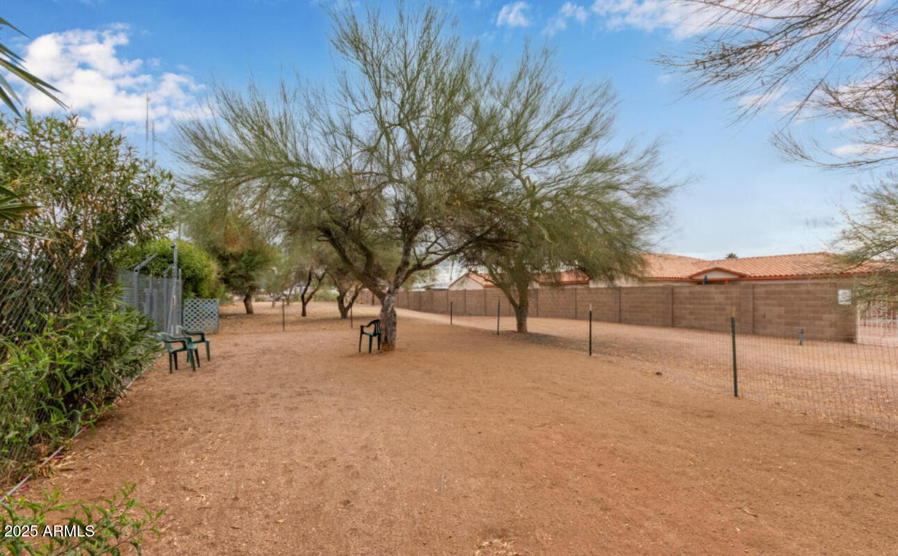11425 East University Drive, Unit 120 Apache Junction, AZ 85120 - Photo 42 of 43 a view of a tree with tree in front of it