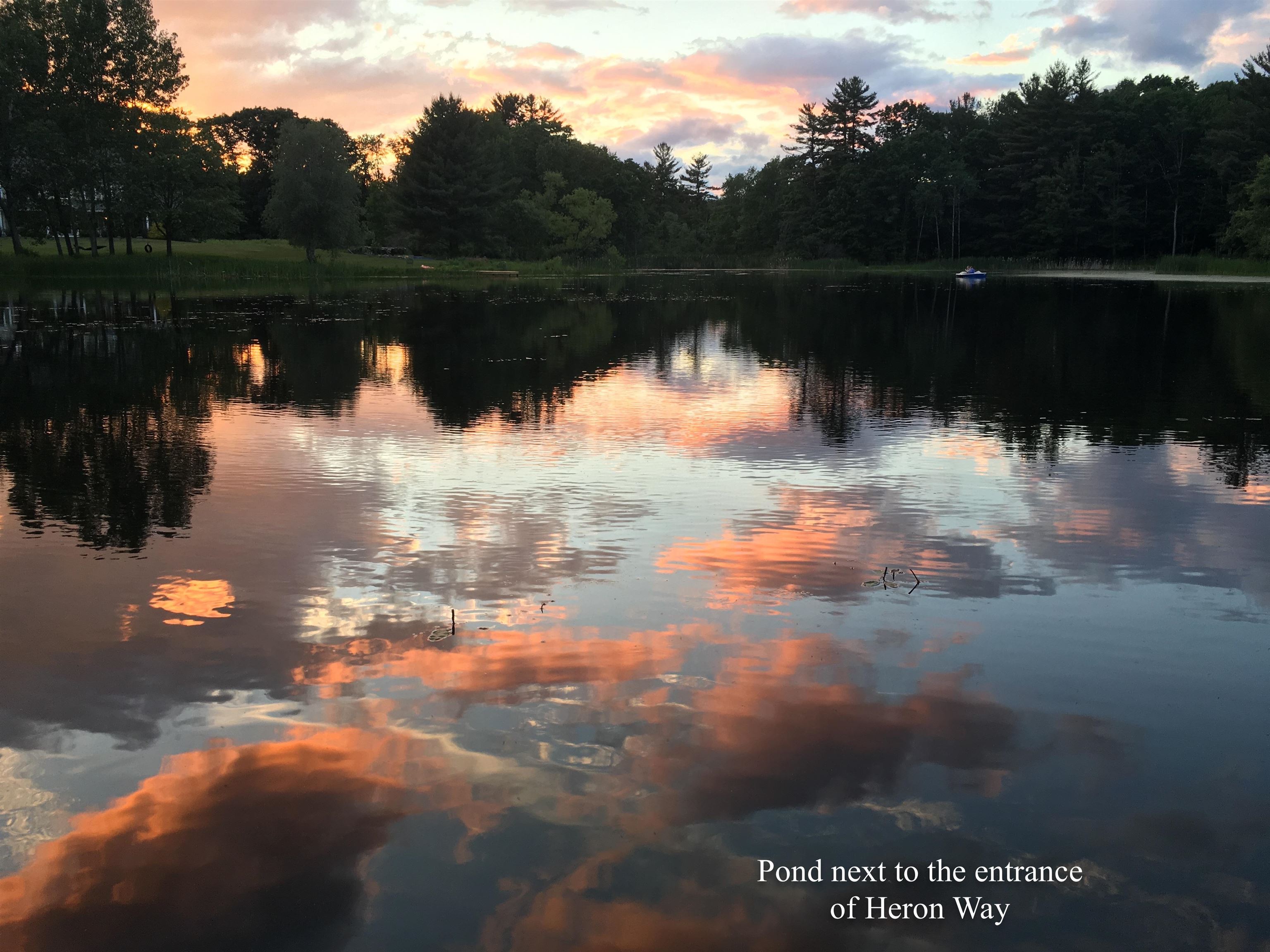 10 Heron Way Stratham, NH 03885 - Photo 40 of 50