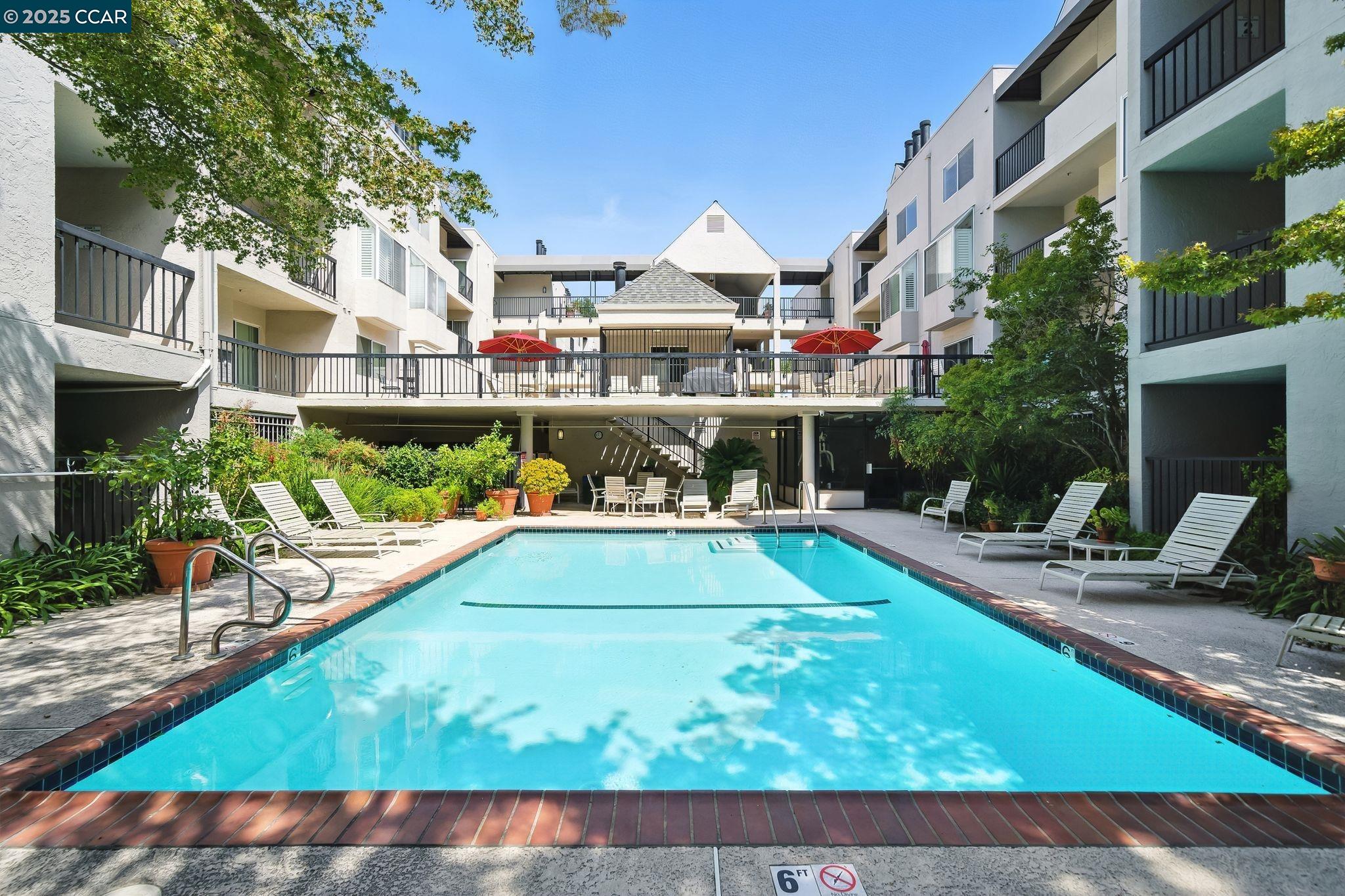 3183 Wayside Plaza, Unit 320 Walnut Creek, CA 94597 - Photo 30 of 34 a view of swimming pool with lawn chairs and plants
